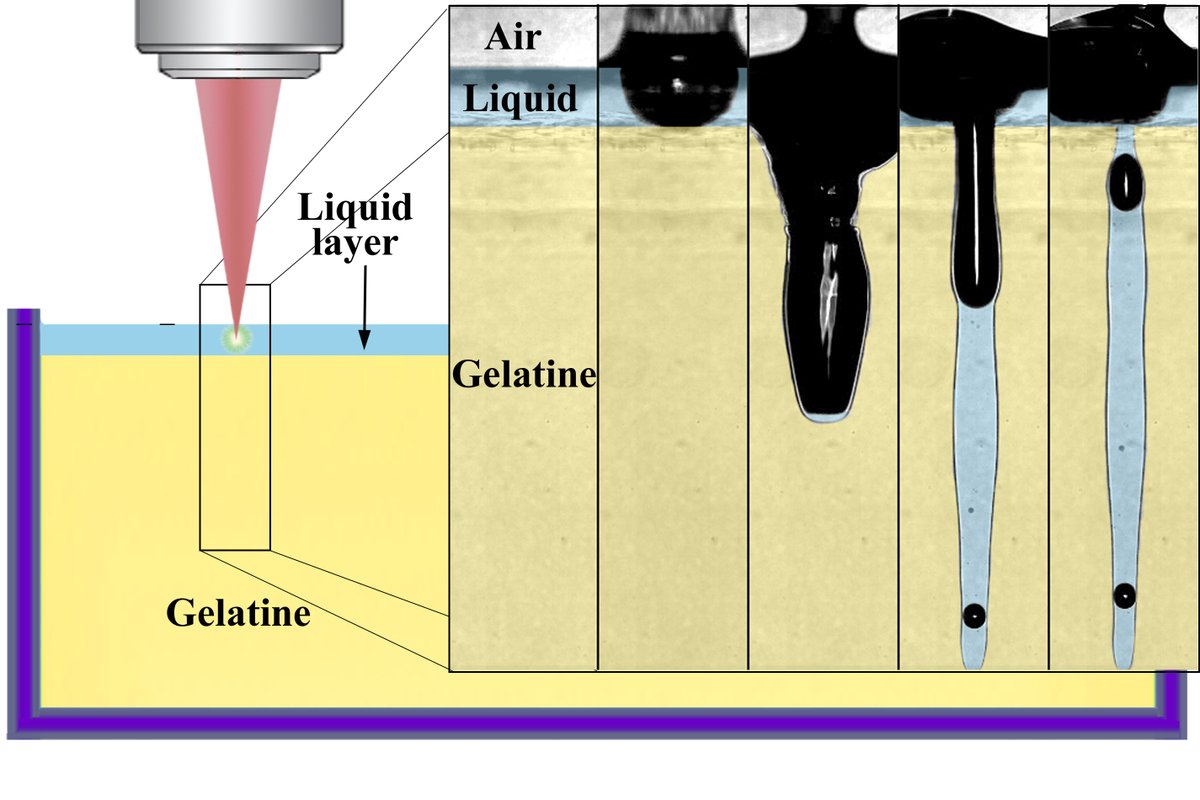 Laser needle-less injections? Check it out in our new article "Bullet jet as a tool for soft matter piercing and needle-free liquid injection". doi.org/10.1364/BOE.46…