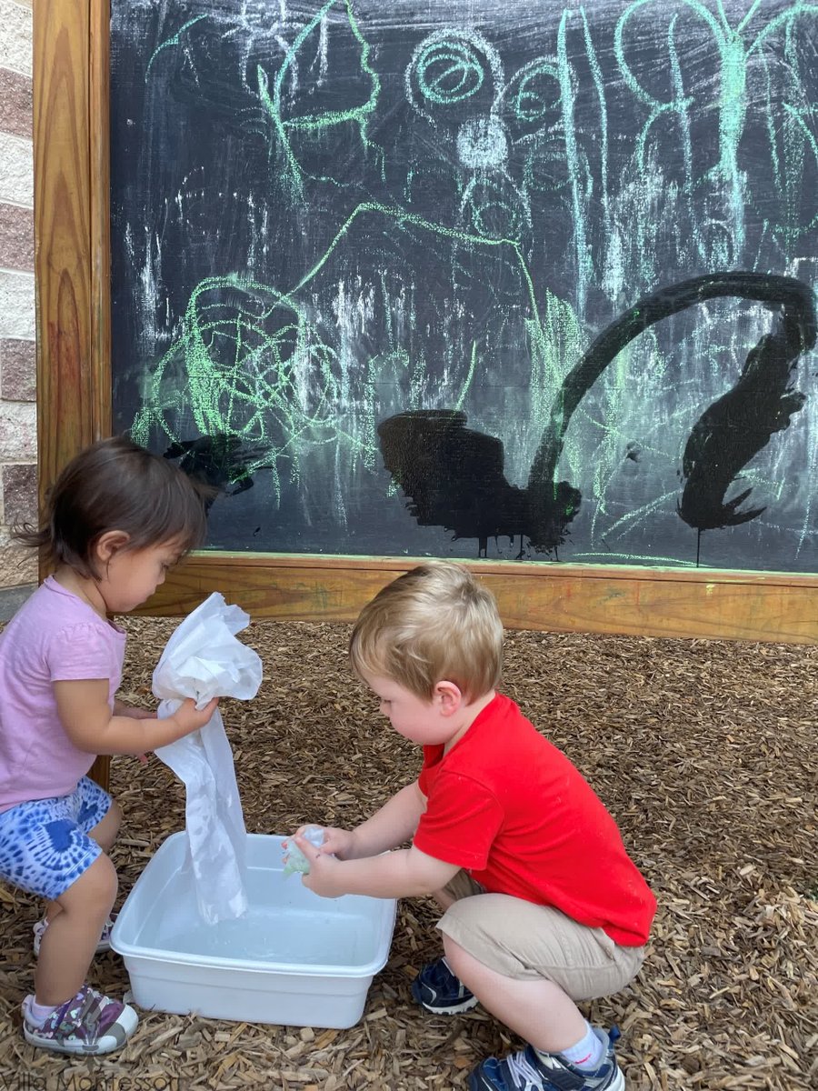 VMPLeesburg's tweet photo. Working together to clean our outdoor chalkboard!

#montessori #practicallifeactivities #leesburgva https://t.co/aaHVhJ6MZW