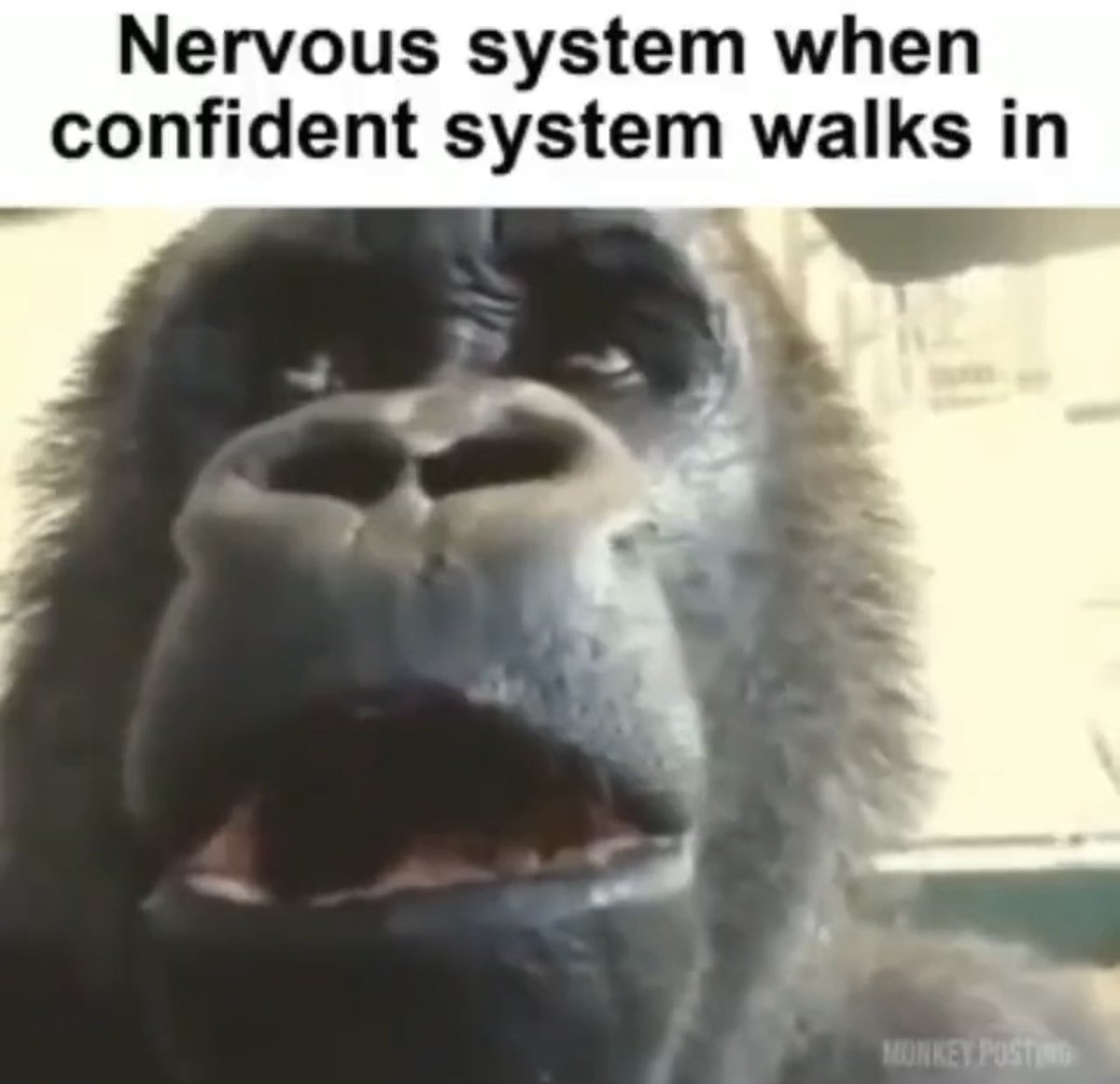 Dezton (@deztonlol) on Twitter photo 