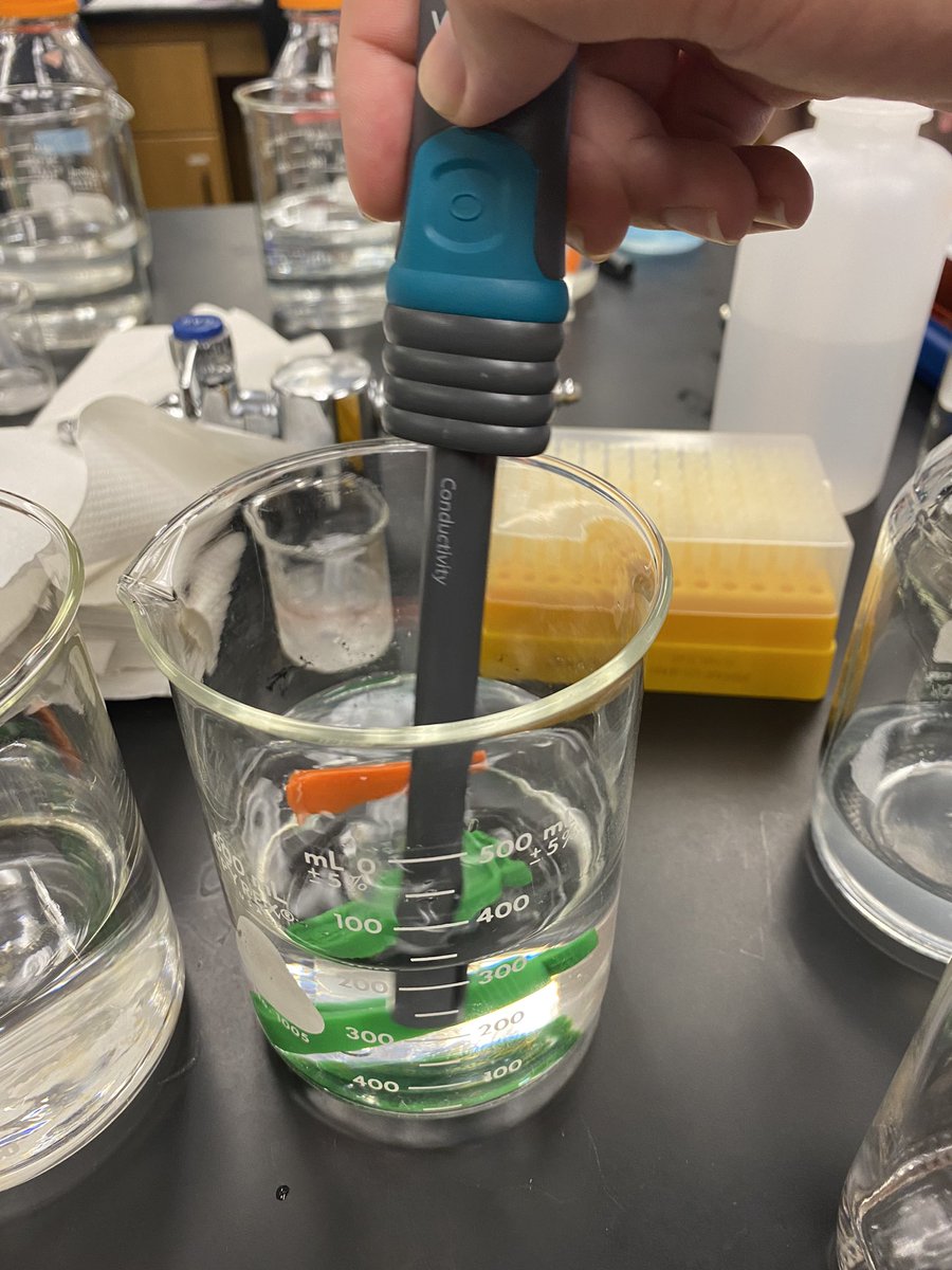 DrWhitneyHolden's tweet photo. Training at #ASMSA with the #AdvancedBioPlus outreach program: Teachers are learning how to teach labs on enzymes, diffusion, metabolism, DNA fingerprinting, and transformation. Here, teachers are learning a high tech method and a low cost alternative for measuring diffusion. https://t.co/rYScwiP0gi