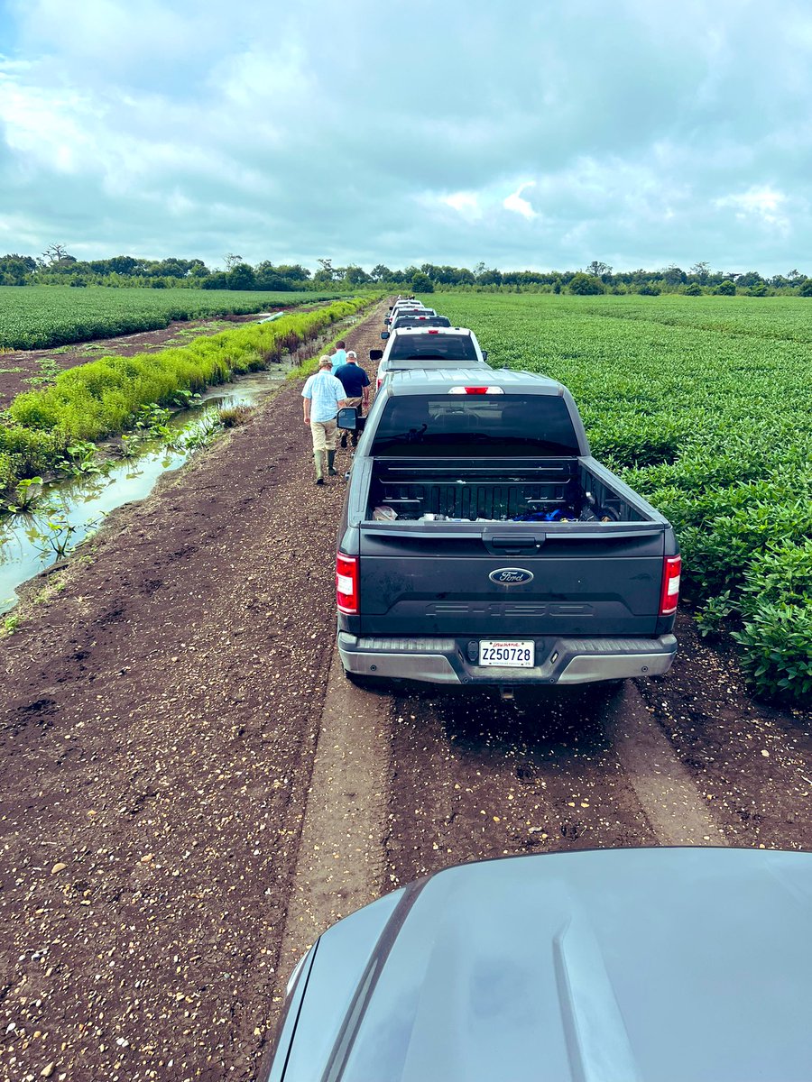 lhookerrogers's tweet photo. At the back of our crop tour caravan, I took a moment to appreciate the guys that drive those 8 trucks!  Thankful for this team, their hard work for our customers and the support they give each other…there is not another group like them! @AgriGold🌽 https://t.co/lsi29vdt95