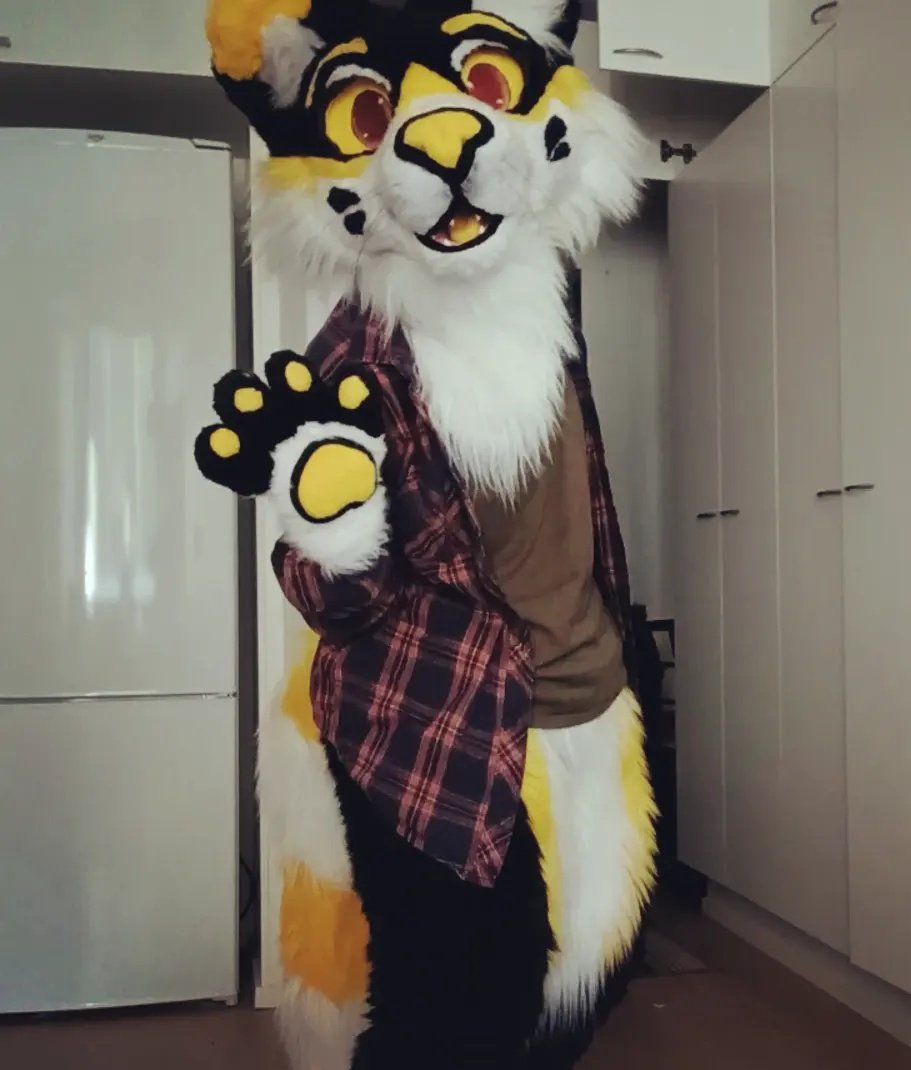Just gonna post these older pics for this #FursuitFriday 
The second fursuit is actually just <a href="/F0XR0T/">Fox 🦊🔞</a>'s suit worn by me

#furry #fursuit #fursuiter