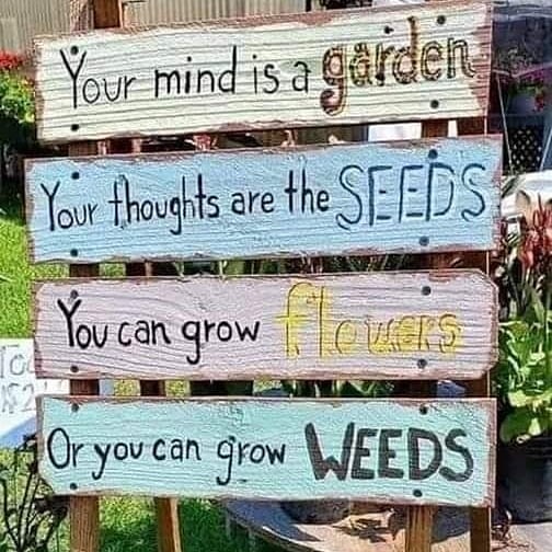 YouthatHeartEC's tweet image. Exactly..
For WE, the people,  MUST train up a child in the way he (he/she) should go: when he is old, he will not depart from it.  Leaders, in government, MUST demonstrate moral RIGHTEOUSNESS of #DoingRight vs. #DoingWrong. 

2 or more visions;
MAGA, MENACE, MAN..where's God?👀