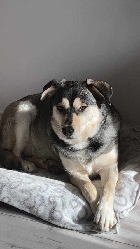 Marek Cracovsky tweet media