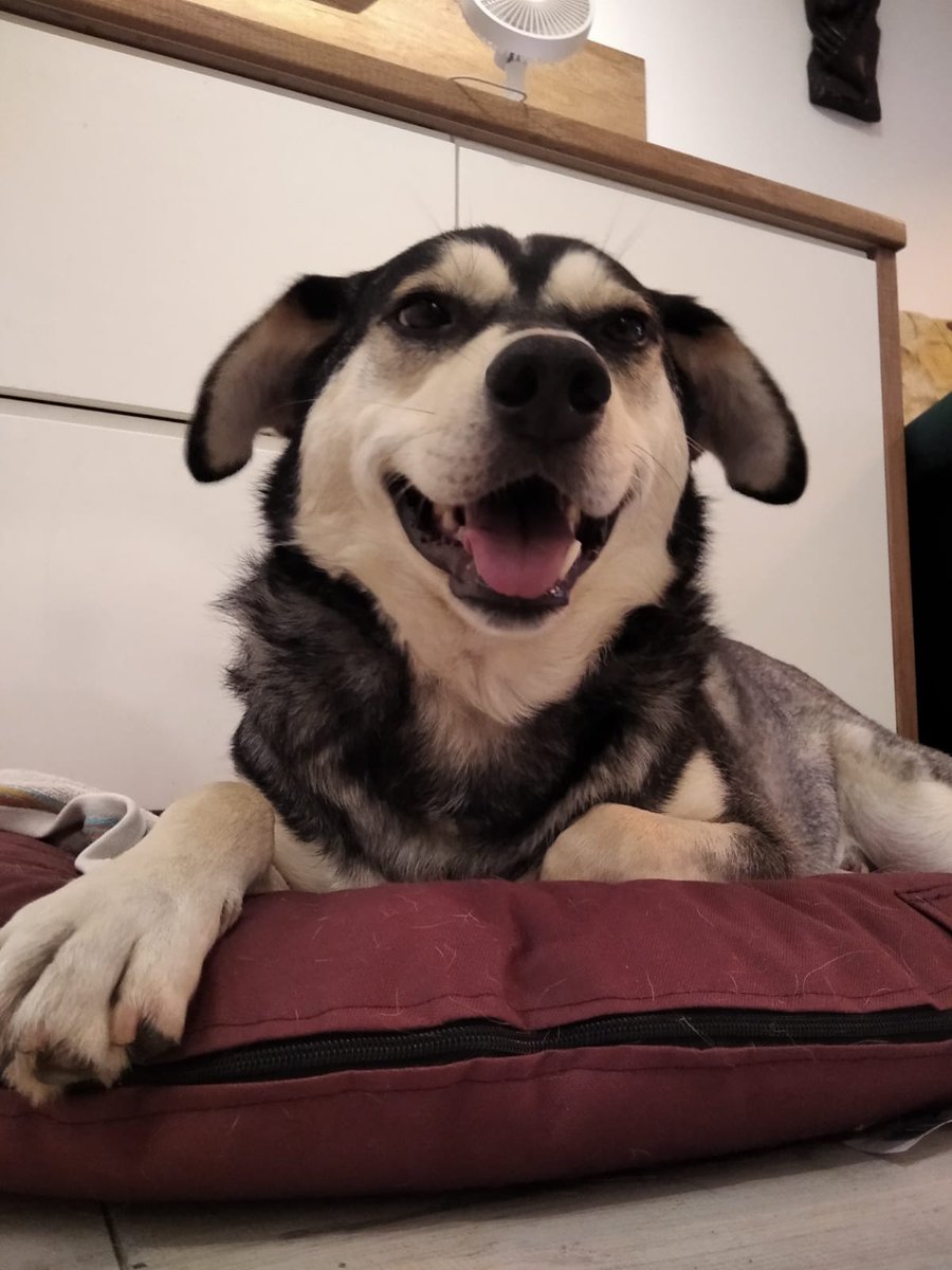 Marek Cracovsky tweet media