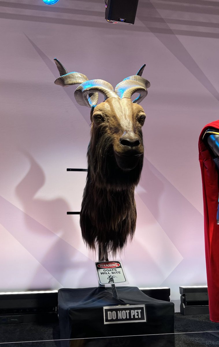DisTrackers's tweet photo. I found the goats. #D23Expo https://t.co/tEflFJh05d