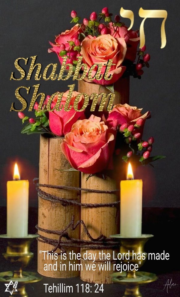AlanZionist's tweet photo. @lizBeth_Hineni 🤗😁😁 Friday is here, Shabbat is here, joy is here. It's time to shout out to our beloved Creator blessed be Hashem.
Happy Shabbat honey, have a good time.
🙏🌹🍷🕯🕯📖🌈🕊
#WE #ShabbatShalom #Torah #Mitzvah #Kidush #Nerot https://t.co/zEH54IN2Tf