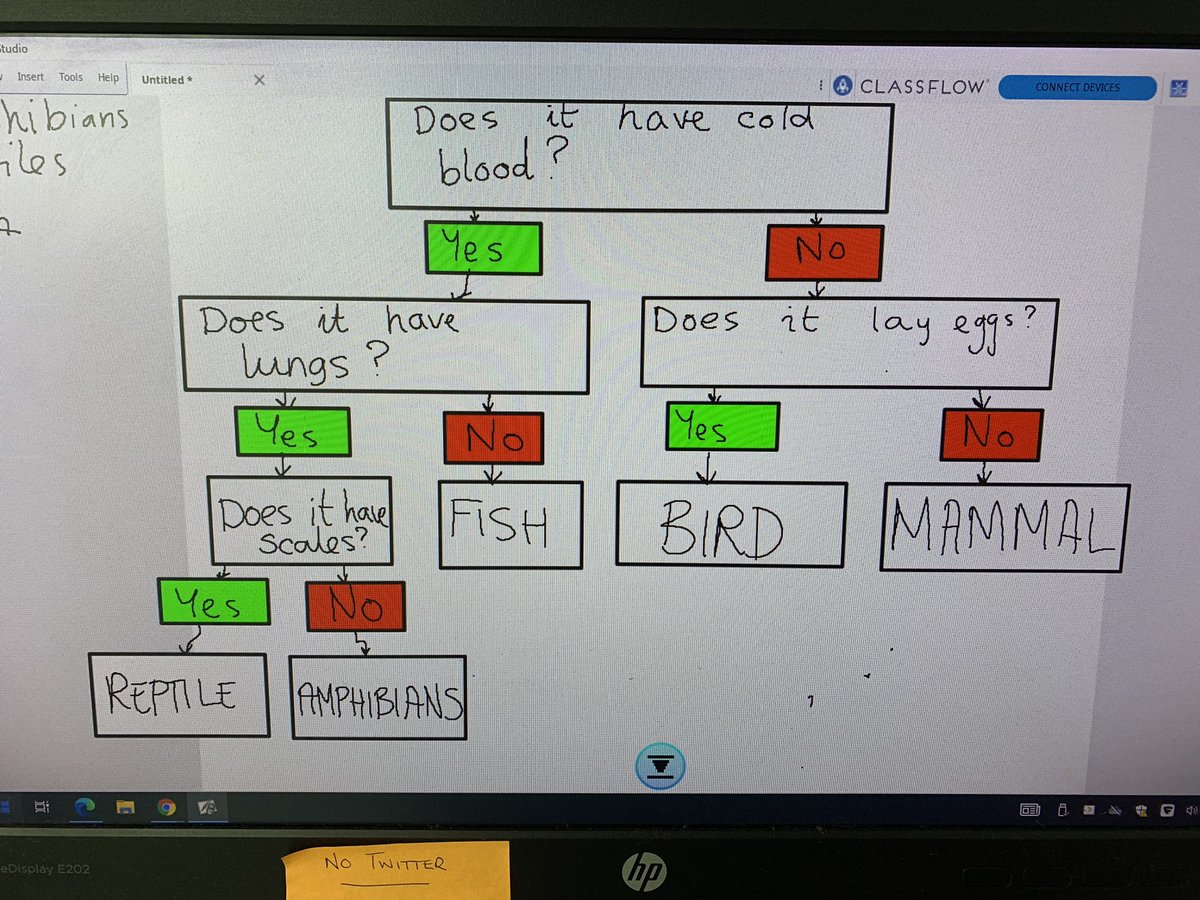 StJosephsERC's tweet image. Primary 4 loved #classifying a variety of animals today, using the questions we created as a class. We had some very interesting discussions #ercstem @ERC_STEM