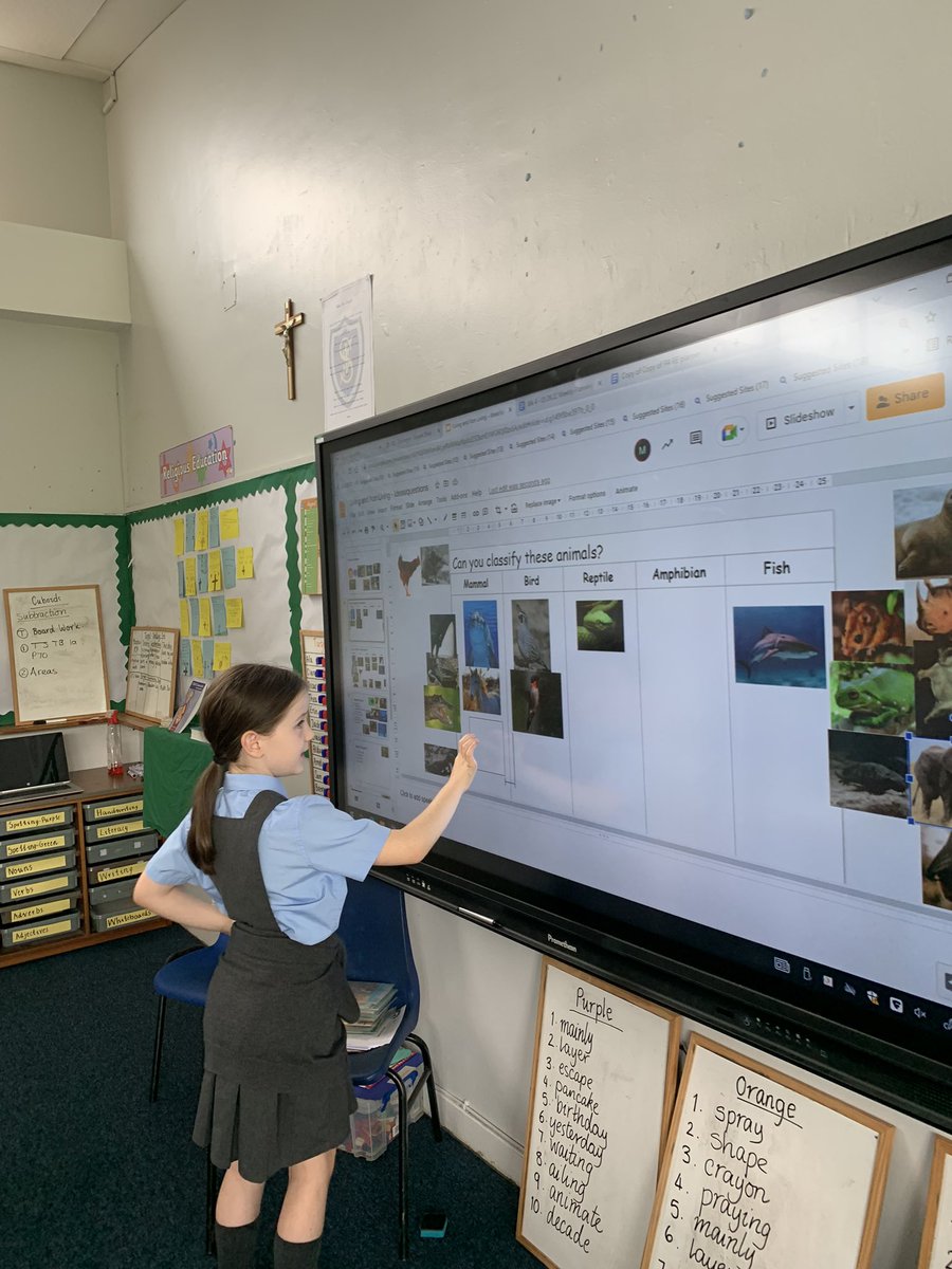 StJosephsERC's tweet image. Primary 4 loved #classifying a variety of animals today, using the questions we created as a class. We had some very interesting discussions #ercstem @ERC_STEM