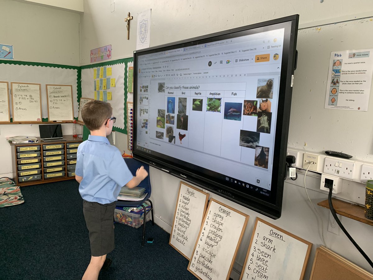 StJosephsERC's tweet image. Primary 4 loved #classifying a variety of animals today, using the questions we created as a class. We had some very interesting discussions #ercstem @ERC_STEM