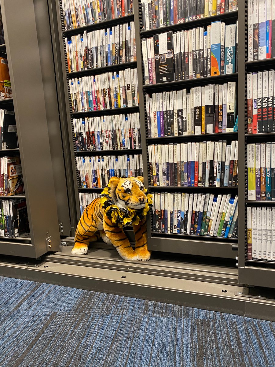 RoCCy was hanging out by our DVDs recently. Did you know we have over 7,300 DVDs between the ones in Seay Music Library and at Circulation in Tutt? They can be checked out by students for 3 days, we also loan out DVD players!

#lovetuttlibrary #checkoutdvds
