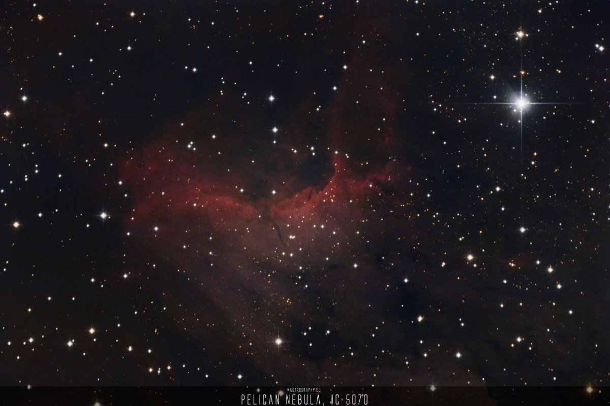 AstrophotoCamp's tweet photo. #Astrophoto: Pelican Nebula IC 5070 - 09/22 - https://t.co/Rf7zDqV1bo - Two weeks after i shot this object with my APO, I did it again with my #VISAC. #IC5070 #PelicanNebula #VC200L #Astronomy #Astrophotography #ClearSkies #DeepSkyObject #EmissionNebula #Nightsky #Space https://t.co/Rpwjhi1jvw