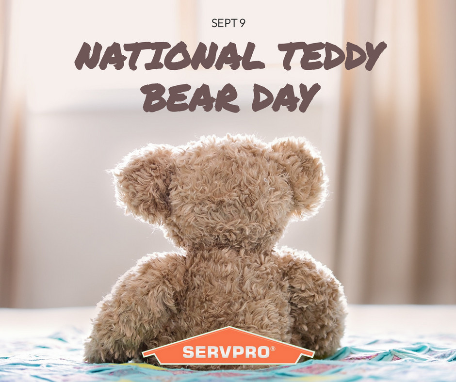 WCservpro's tweet image. One of our favorite days of the year! 🙂
#teddybear @VTTeddyBear