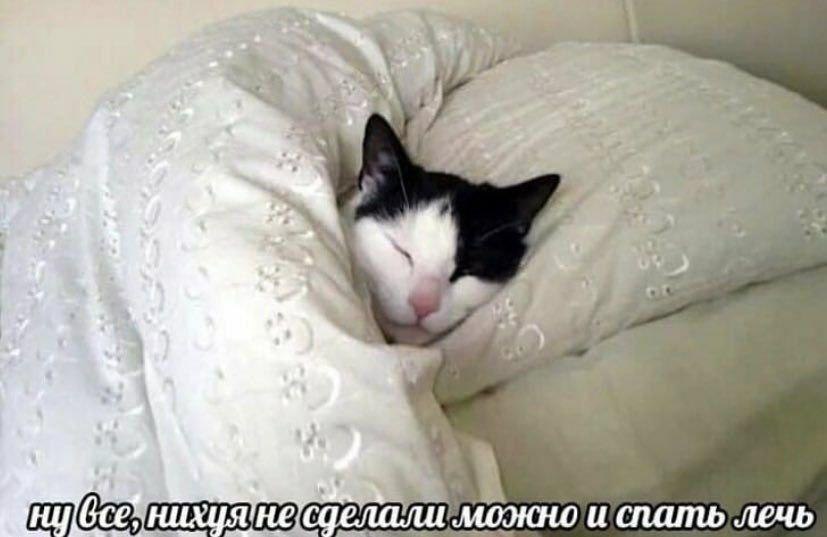 RussianMemesLtd's tweet photo. that's it, I've done fucking nothing and now I can go to sleep https://t.co/ZsfbAcHVFg