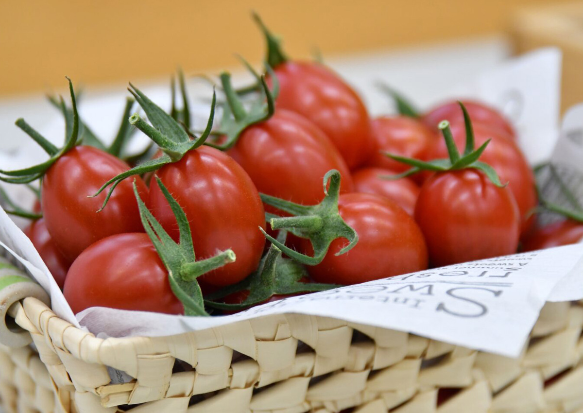 agus_colombier's tweet photo. En Japón ya están disponibles tres alimentos con genoma editado: besugo, pez globo tigre y tomate con alto contenido de GABA. ¿Cómo hizo 🇯🇵 para pasar de ser un país con recelo sobre la edición génica a un pionero en esta tecnología?
Te lo cuento en este #BiotecnoBlog 👇🧬 https://t.co/YntgAjEJqK