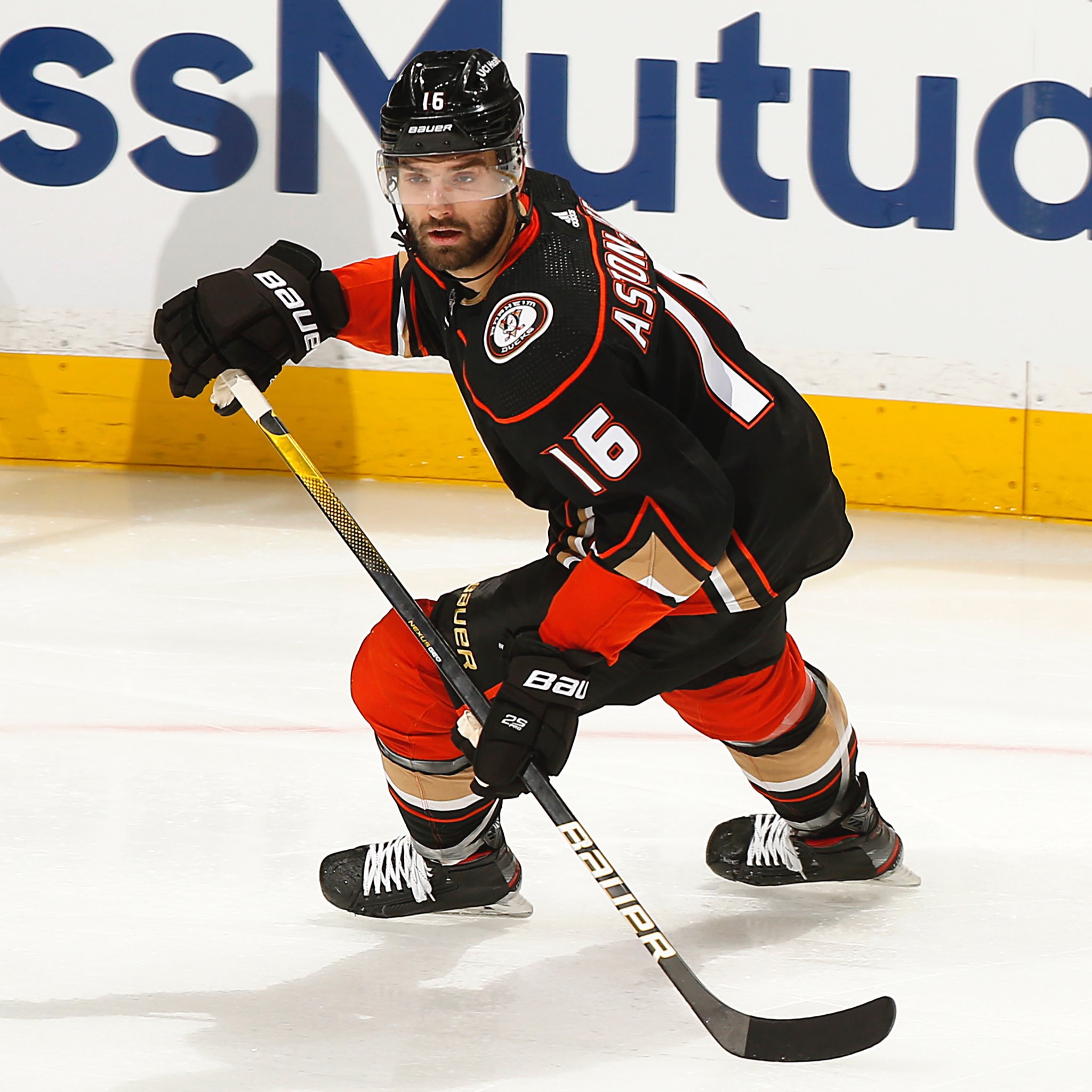 Toronto Maple Leafs on Twitter "We have signed forward Zach Aston