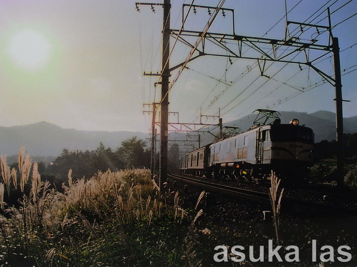 asukalas's tweet photo. #EF58
#AE1P
ススキの透過光に誘われて
一人ゴハチを待つ幸せ https://t.co/L8LD9pCITo