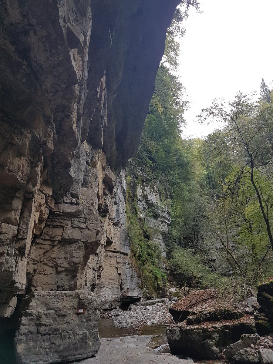 ch_gruetze's tweet photo. We had rain today, but still managed to see some cool geology. Beautiful folds, faults, and the occasional panorama.
Field work w/ @wukaimi & @j_stub97 for #SPP2017
#geology #Alps https://t.co/1xrQKhtY8Q