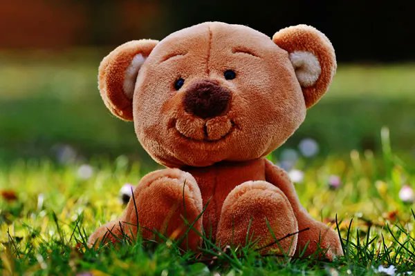 Relecture's tweet photo. Journée mondiale du #Nounours 🥰 https://t.co/ANxG708RMT