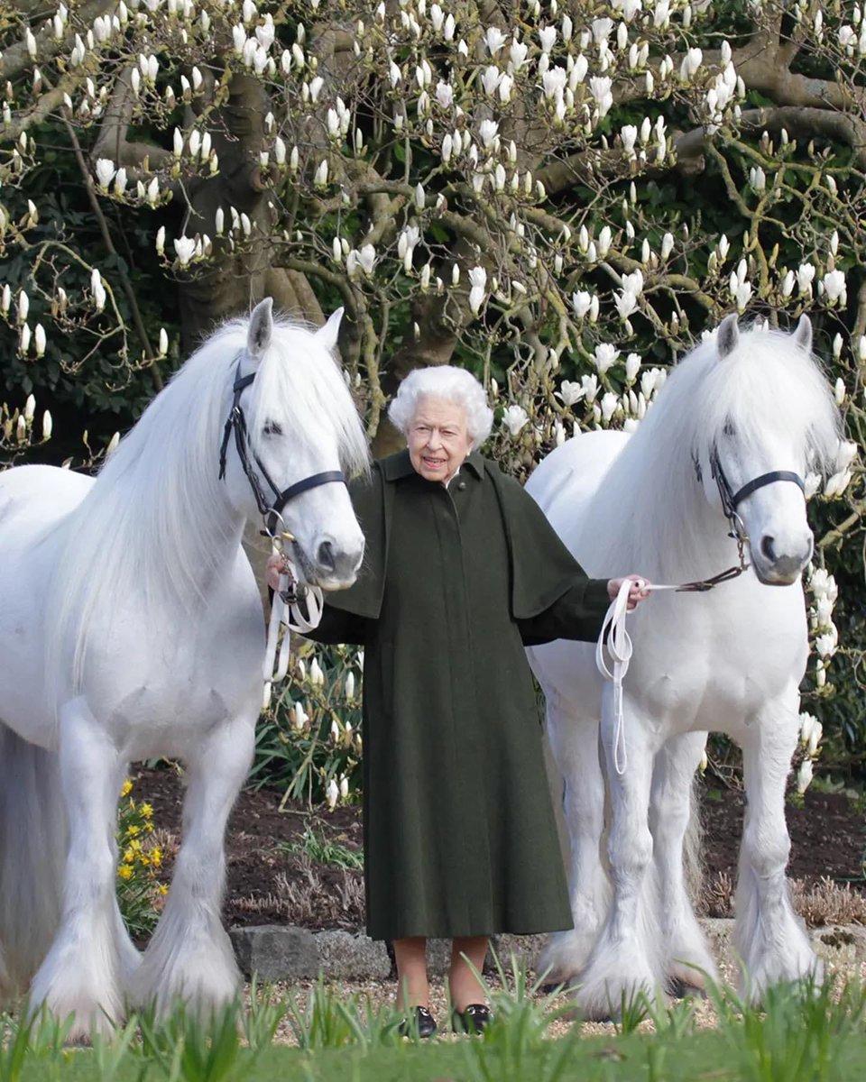 We are deeply saddened by the passing of Her Majesty The Queen. 
A day we never wanted to come. A true horsewoman who visited and supported us at Horse Rangers throughout the years. 
Thank you for dedicating your whole life to our country, right until the end. Rest in peace 🤍