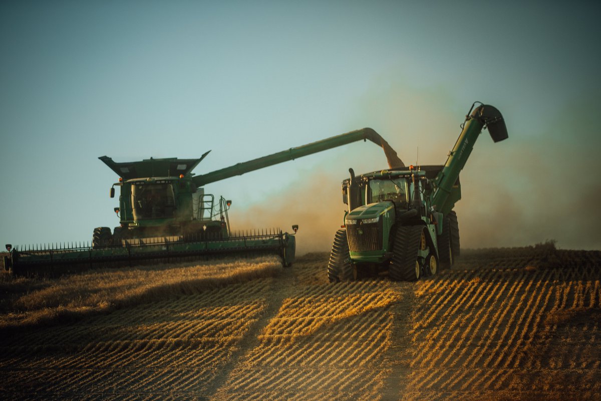 LindgrenSeeds's tweet photo. Wheat is under way 🚜

#HarvetIsTheBestTime
#AgTwitter
#Harvest22 https://t.co/hXl5lAfZDw