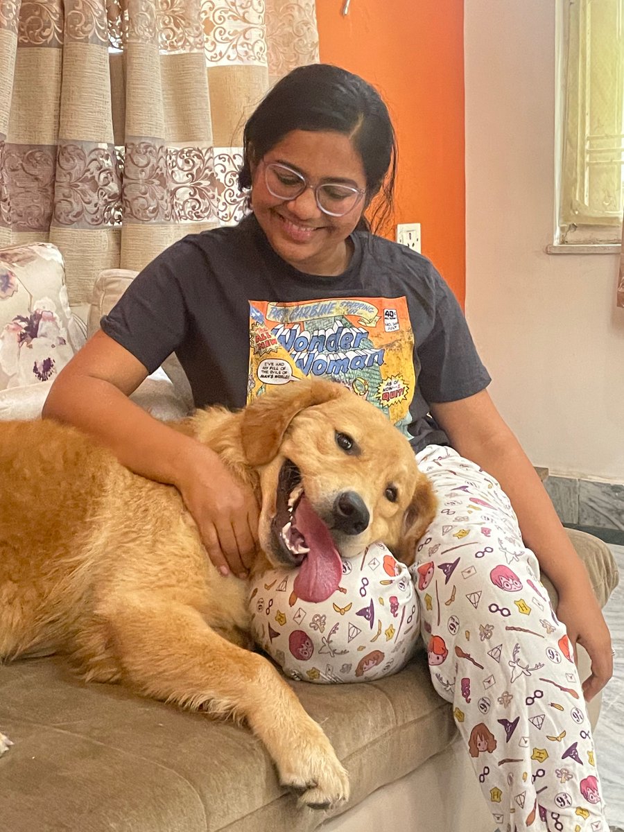 knockofflife's tweet photo. @gaialect Golden Retrievers!! They’re this huge cuddly bears! Here’s my Potato https://t.co/NR5cvb1bn8