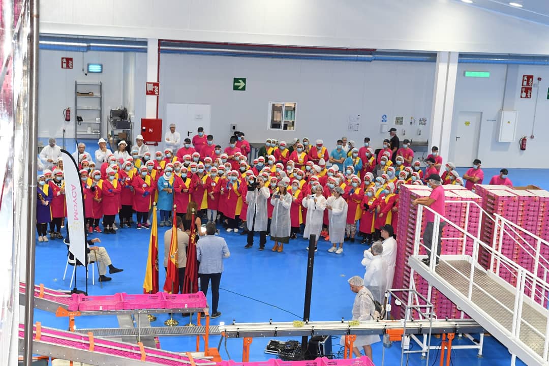 MoycaGrapesSL's tweet photo. Inauguramos instalaciones con una inversión de 12 millones y la creación de 400 puestos de trabajo. 
Como empresa hortofrutícola, primera productora nacional de uva sin semilla y la tercera en el ranking mundial, tiene previsto duplicar su producción. https://t.co/P7eVmaYyZf