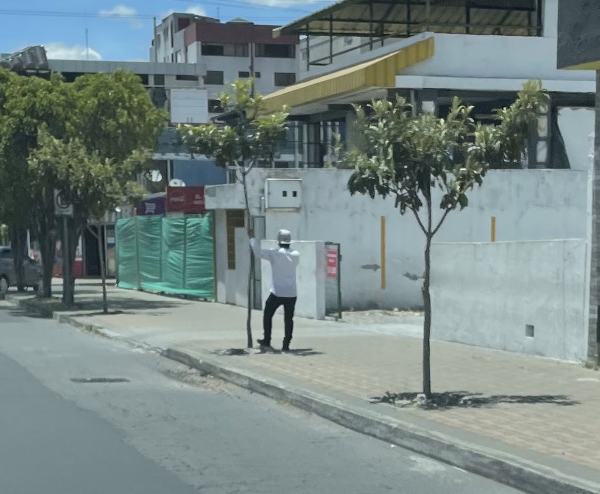 EstebanOrtizMD's tweet image. Que necesarios son los árboles para bajarle la temperatura a la ciudad ! Este paisano aprovechando la poca sombra que le brinda este arbolito joven aún ! 
Sembrar árboles en las veredas de Quito debería ser obligatorio 🌳 🌲