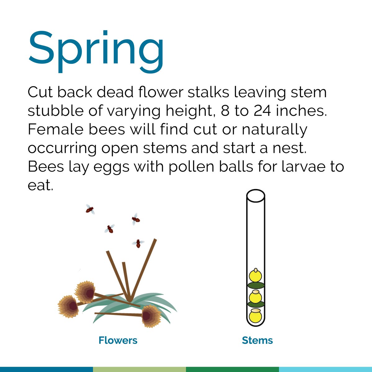 The Xerces Society tweet media