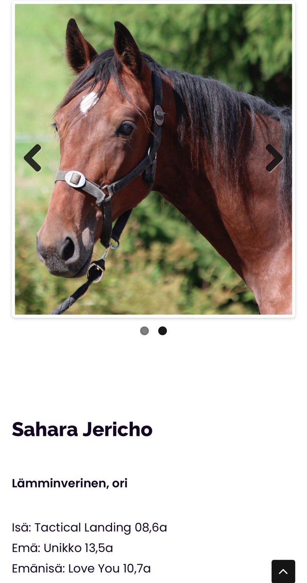 Tälläinen tarttui huutokaupasta, kimppaan pääsee mukaan! #ravit