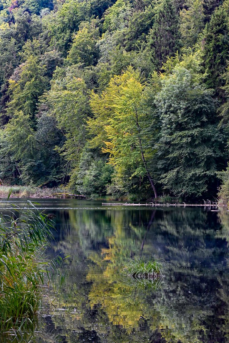 littleswisslady's tweet photo. #egelsee
#hasenberg
#MutMachBilder https://t.co/LiNSrr4N8B