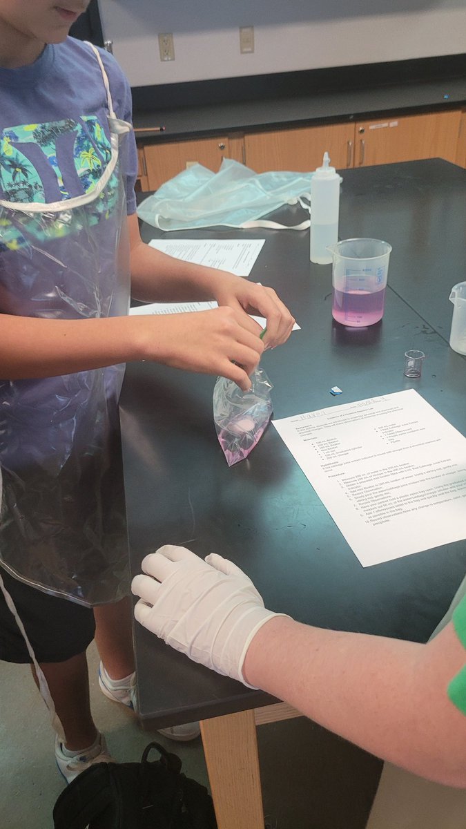 MizLock4's tweet image. Chemical Reaction Lab
@ThreeLakesTISD
@graveskedrick1 @rachelsherm613 #6thgradeScience
#gatorsriseup #Thompson