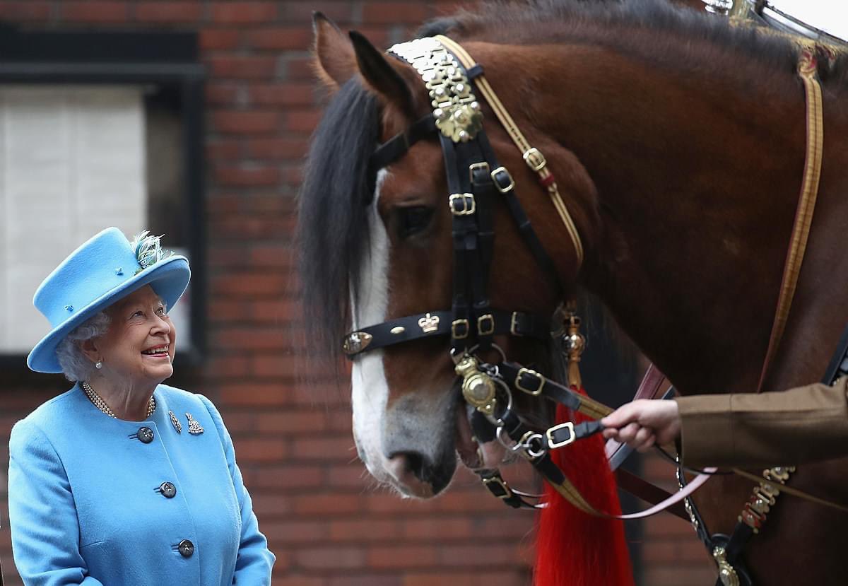 CotebrookShires's tweet photo. Queen Elizabeth II was Patron of the Shire Horse Society, such a wonderful person who truly loved horses ❤️ RIP Ma’am we will miss you and thank you for everything 😢😢 #shires #horses #thequeen #cheshire https://t.co/SwCvcHK50u