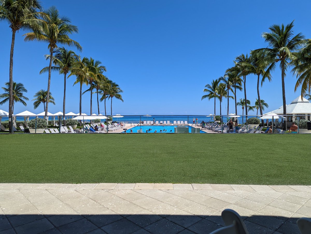 Luis Fernandez tweet media