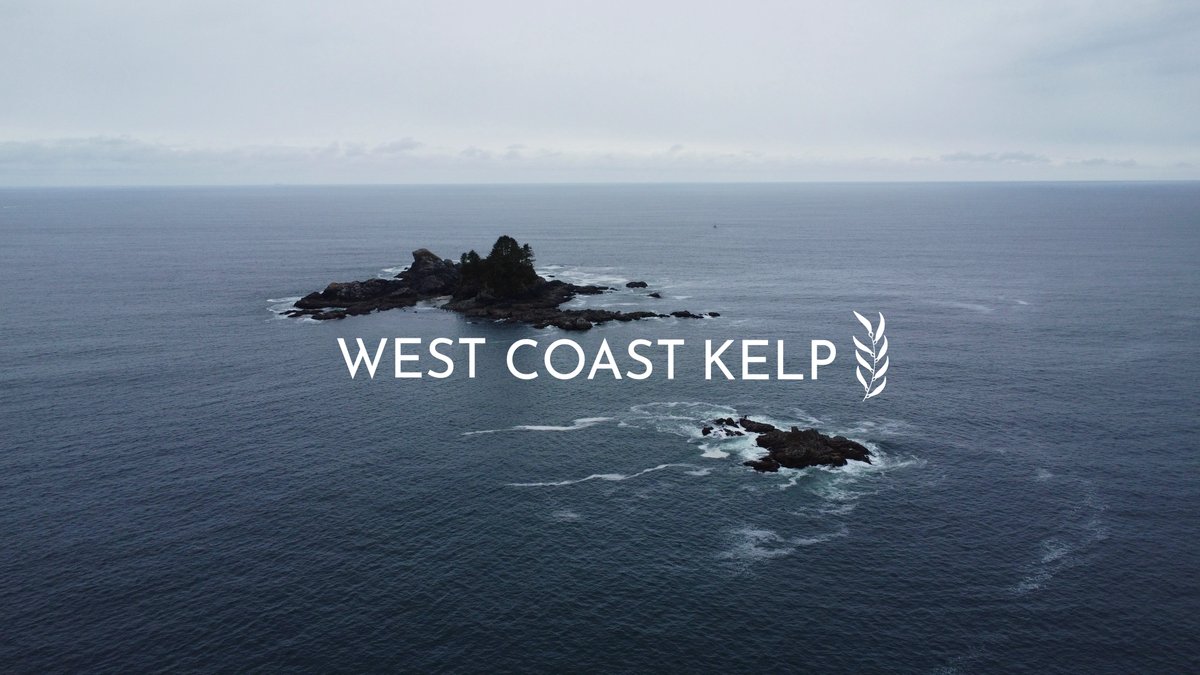 Hello Twitter!

West Coast Kelp Ltd. is a start-up specializing in kelp forest restoration. Our mission is to enable high-impact kelp forest restoration by applying innovation and efficiency to science-based knowledge.
Learn more at westcoastkelp.ca

#kelp #restoration