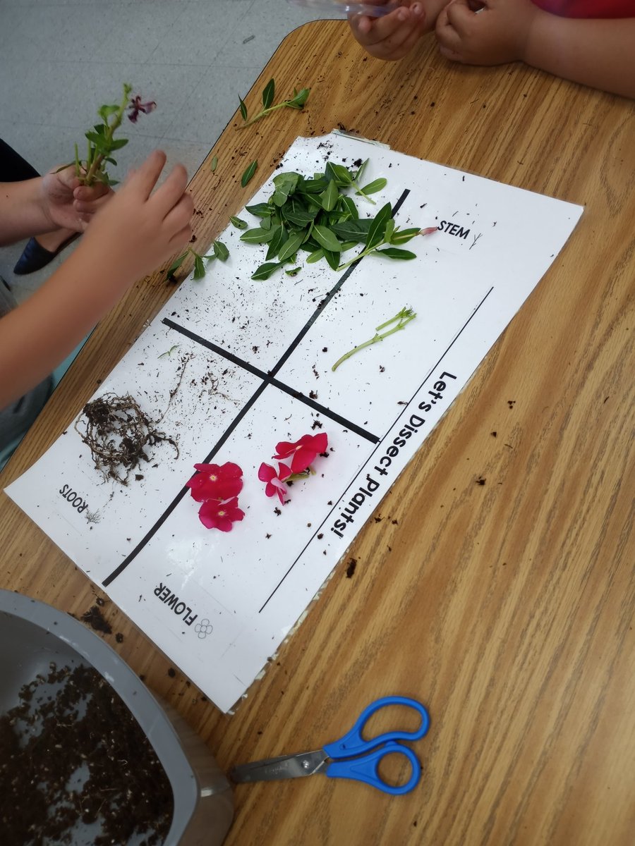 Lukas Smith tweet media