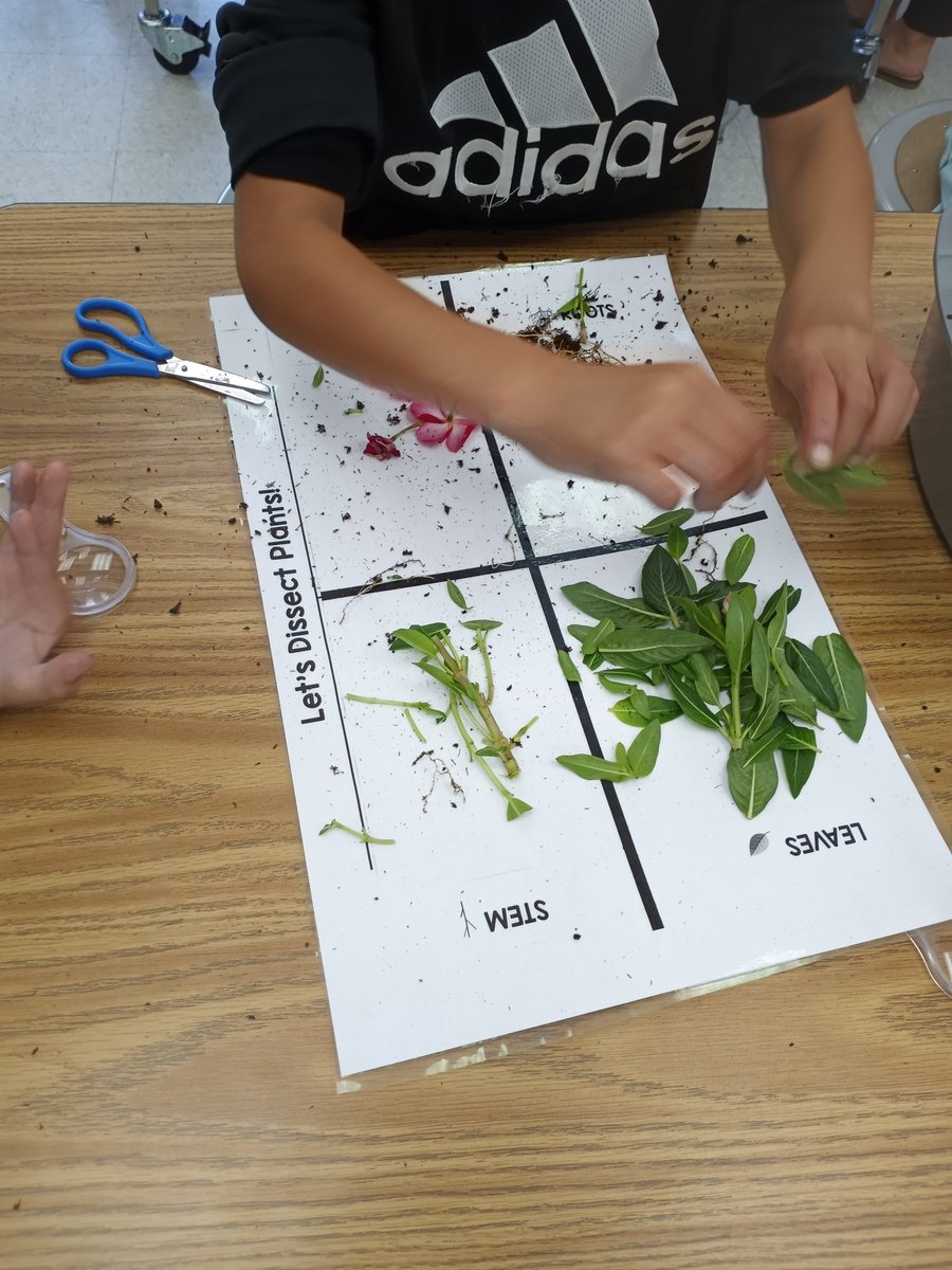 Lukas Smith tweet media