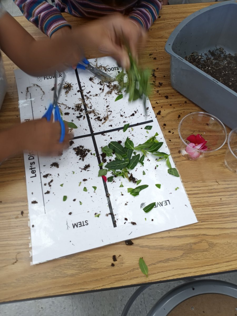 Lukas Smith tweet media