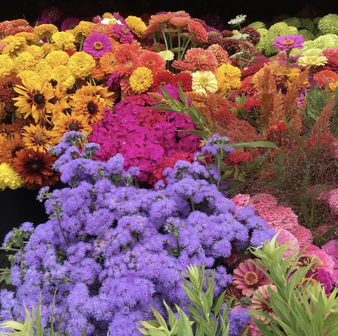 We have beautiful farm fresh bouquets at The Amp Indy available throughout the week through the end of September as part of the #FlowersThatFeed program.
 
Bring some beauty to your home or office, while contributing to our efforts to bring fresh produce to Indy families.