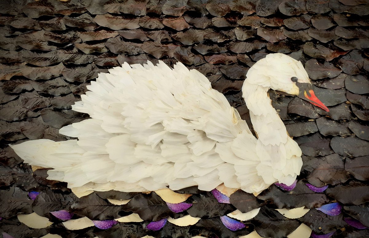 While I had the right flowers and leaves it seemed appropriate today to create a royal Swan. Made entirely from leaves and petals and a berry. #CompostableAutumnArt