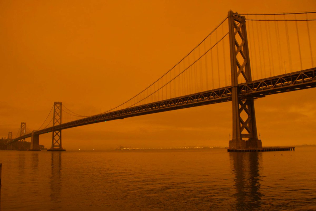 David Gallagher tweet media