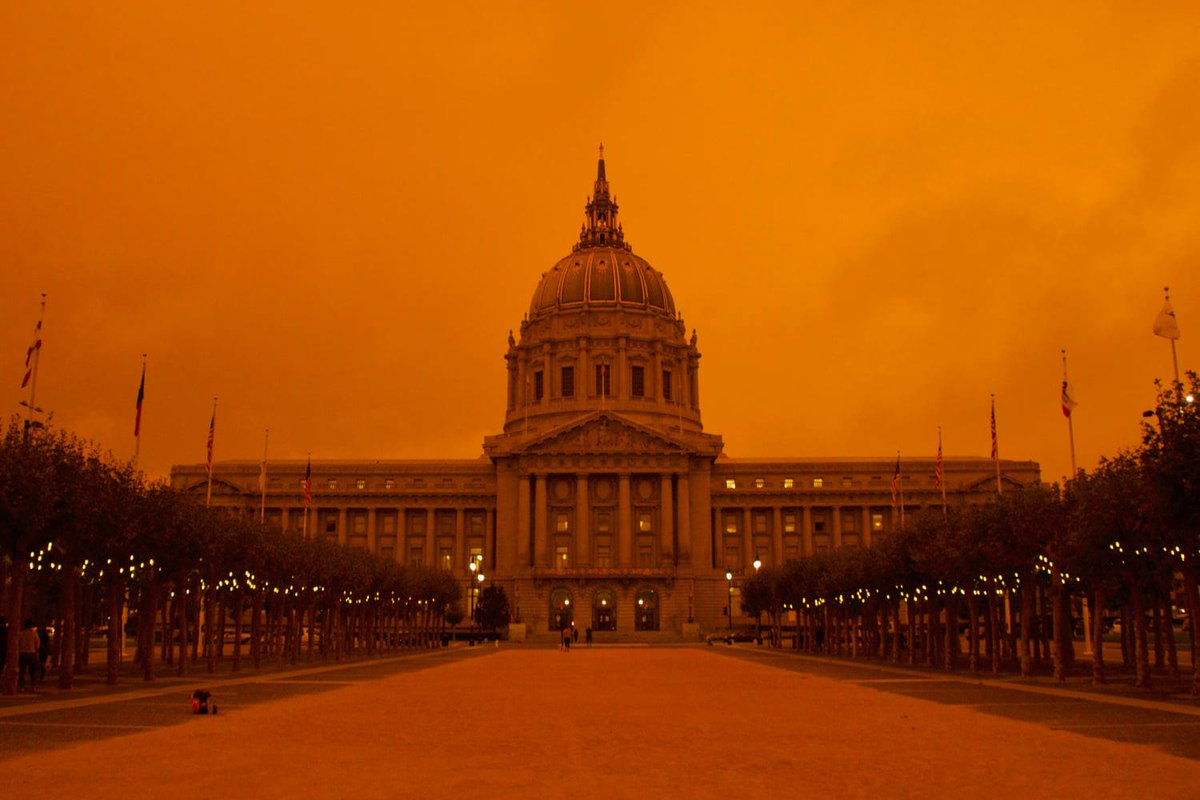 David Gallagher tweet media