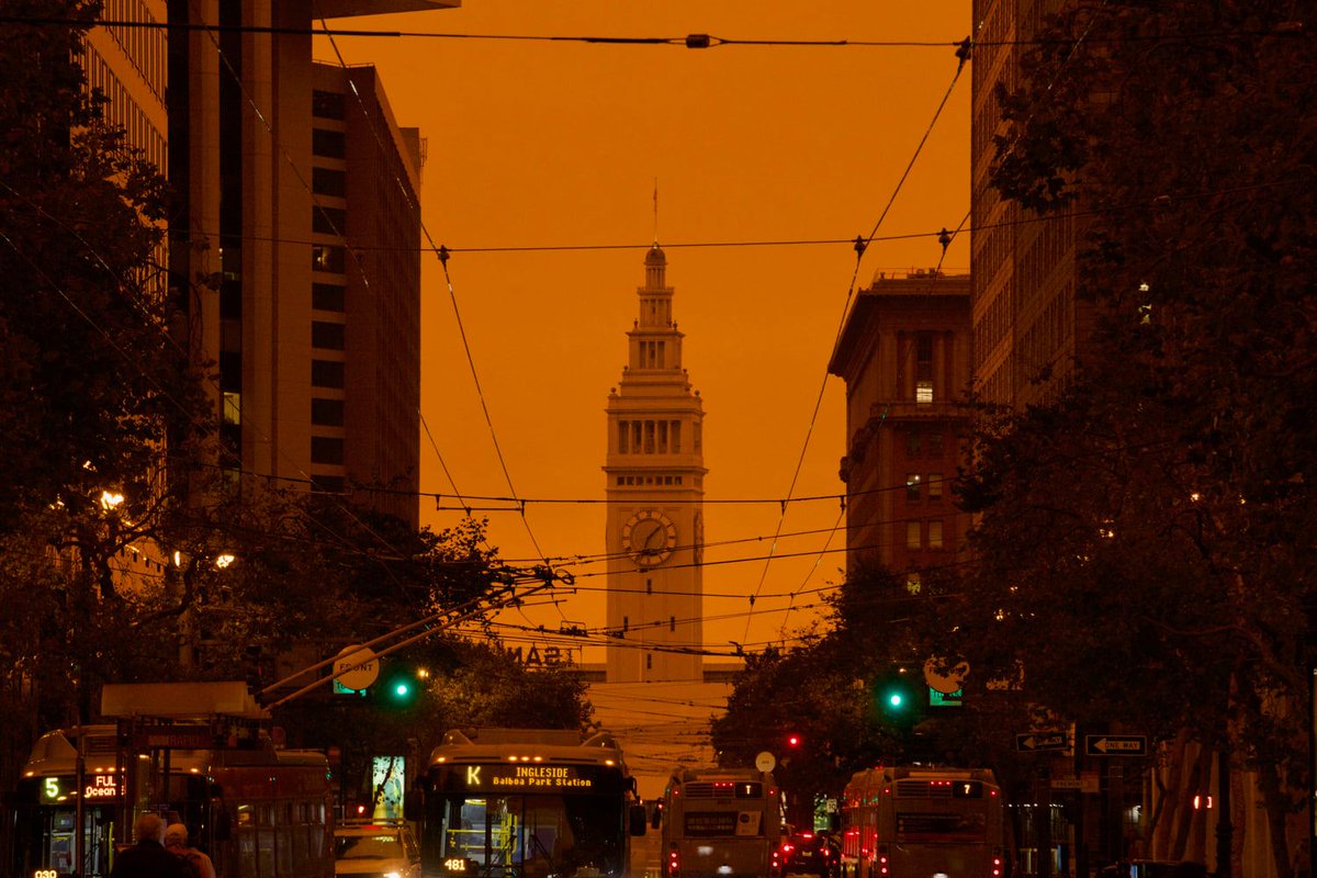 David Gallagher tweet media