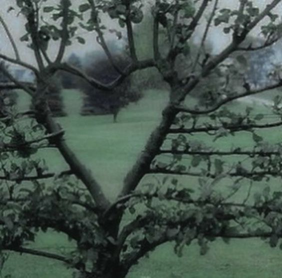 ¡sí existen buenas películas en netflix! aca un hilo 🪵