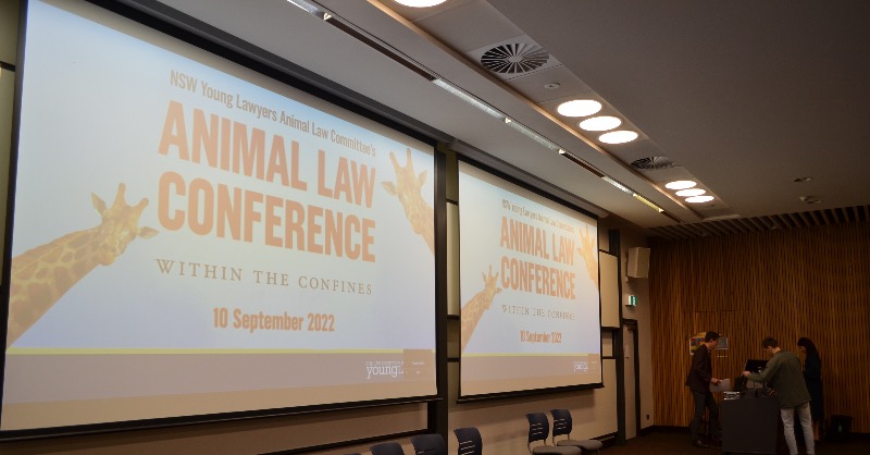 NSWYLAnimalLaw's tweet photo. Get ready - we are about to kick-off our jam-packed conference! 🎉
#AnimalLawConf22 #withintheconfines https://t.co/jBB0izSZ8w