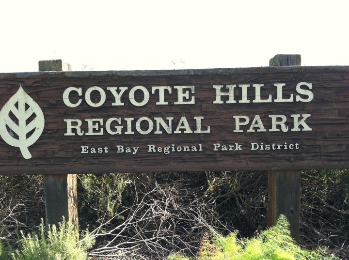 SapphyLi's tweet photo. I came across a set of beautiful photos of Coyote Hills Regional Park and then told my friend that " Kai-oat" Park is a great place to hike. She laughed and said that people usually pronounce it as "Kai-oat-ee".  Does anyone read it like me? #Ling107f22 https://t.co/D60BCpsjDI