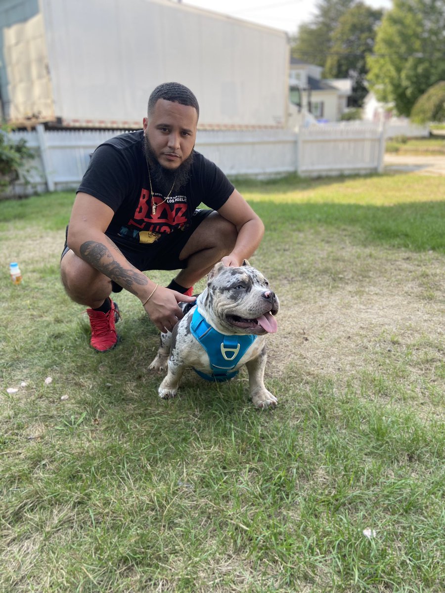 ROLLINYEETS's tweet photo. I want y’all to meet Zeus ⚡️🐾 https://t.co/67sCiyovY2