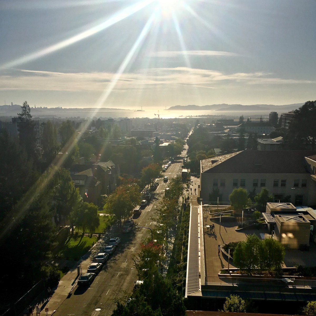 raedeletto's tweet photo. Just signed out of the @BerkeleyLaw accounts for the last time 😥 The opportunity to craft the voice and engage the community of this iconic, impactful institution has been an honor and a privilege. I will be forever grateful for these seven wonderful years @ucberkeley ✌️💙💛🐻 https://t.co/xvTM8bfSXb