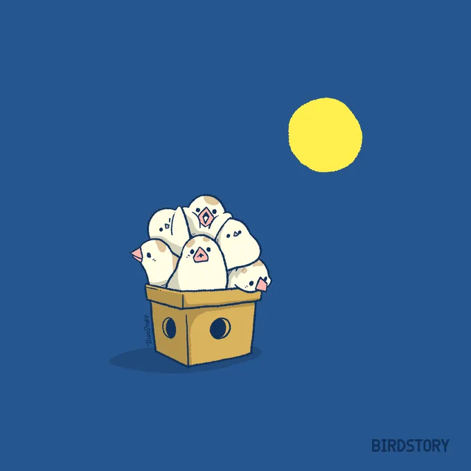 おはようございます。本日は9月10日、十五夜とのことです良い天気になりますように#BIRDSTORY #十五夜 #ジュウシマツ #シマエナガ 