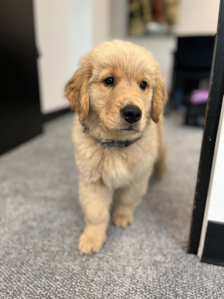 Greater Vancouver Board of Trade tweet media